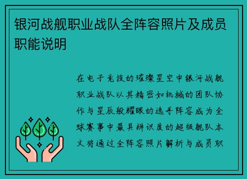 银河战舰职业战队全阵容照片及成员职能说明